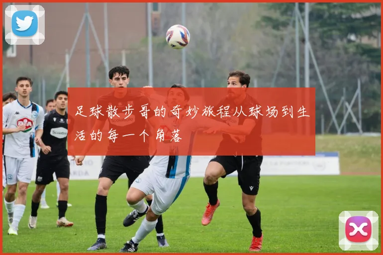 足球散步哥的奇妙旅程从球场到生活的每一个角落