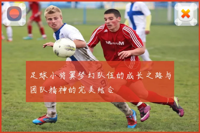 足球小将翼梦幻队伍的成长之路与团队精神的完美结合