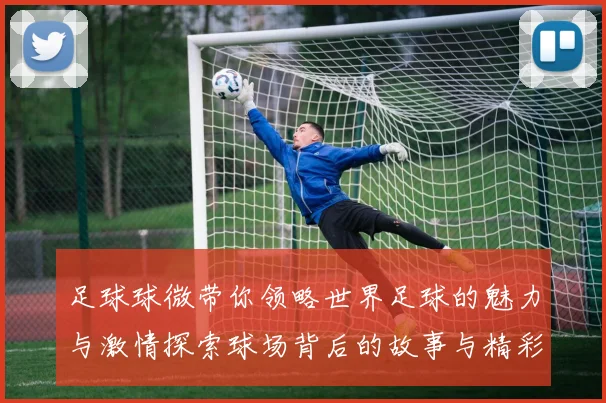 足球球微带你领略世界足球的魅力与激情探索球场背后的故事与精彩瞬间