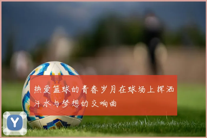热爱篮球的青春岁月在球场上挥洒汗水与梦想的交响曲
