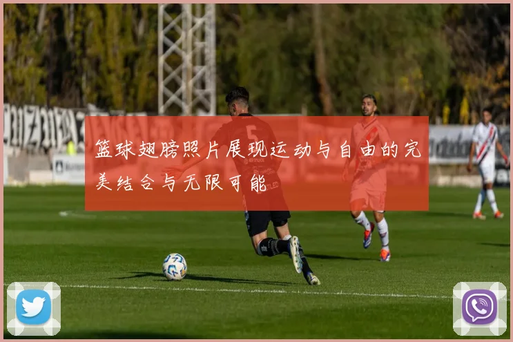 篮球翅膀照片展现运动与自由的完美结合与无限可能