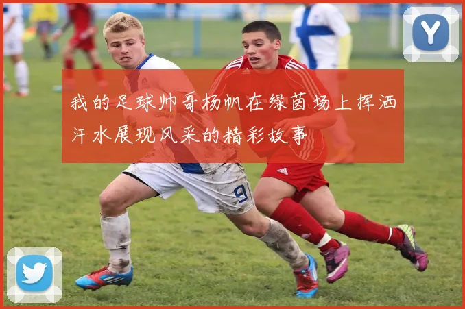 我的足球帅哥杨帆在绿茵场上挥洒汗水展现风采的精彩故事