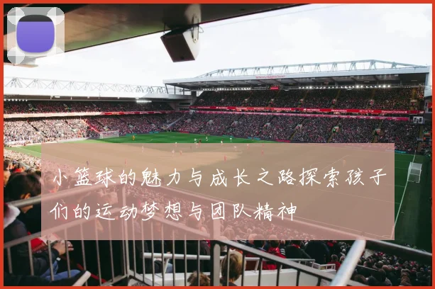 小篮球的魅力与成长之路探索孩子们的运动梦想与团队精神